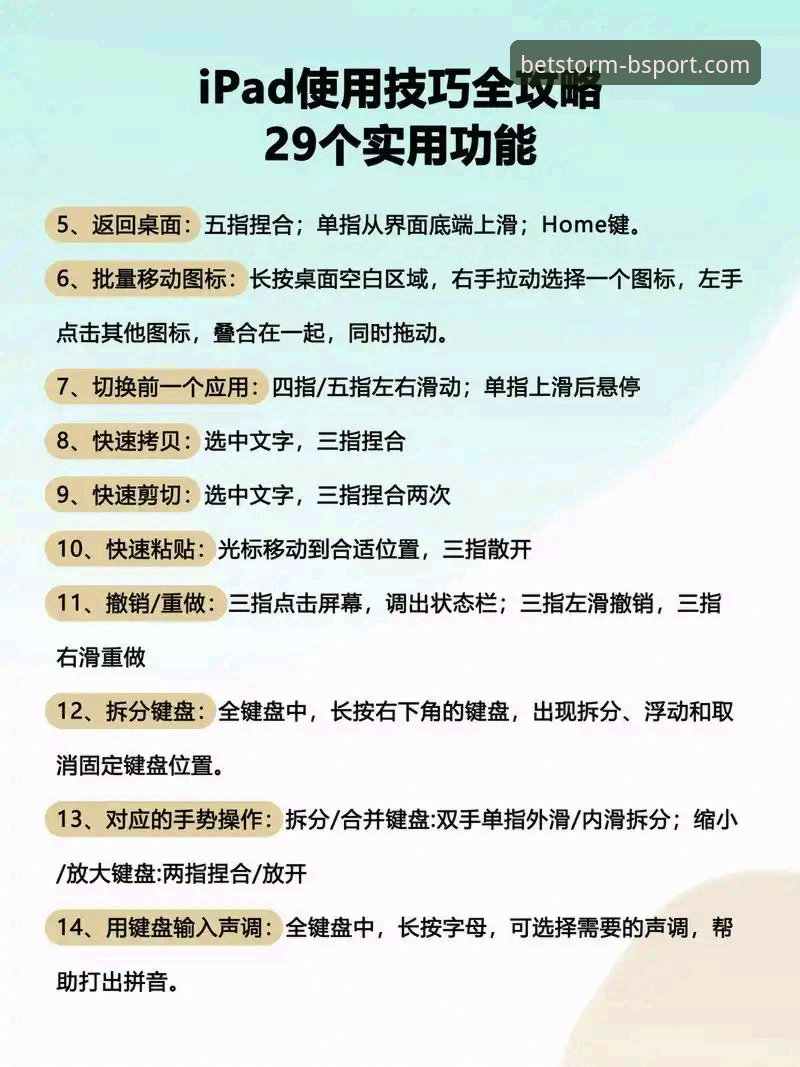 BSPORT服务体验 BSPORT服务体验完整指南:从新手到高手的体育娱乐平台选择策略